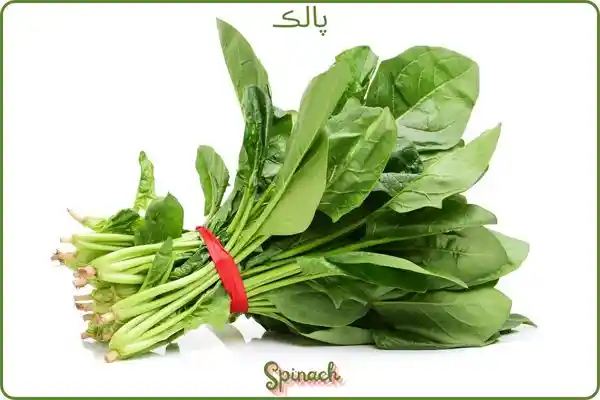 spinach