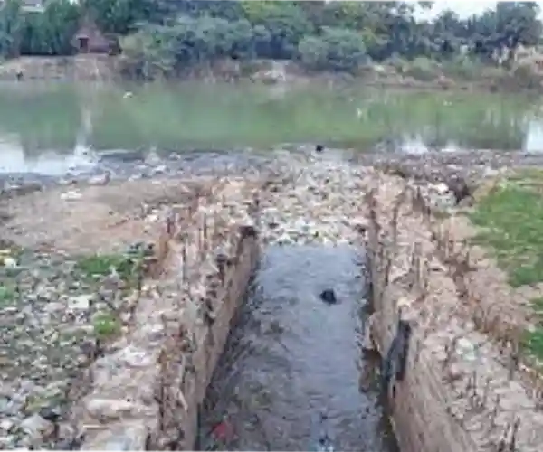 lake contamination