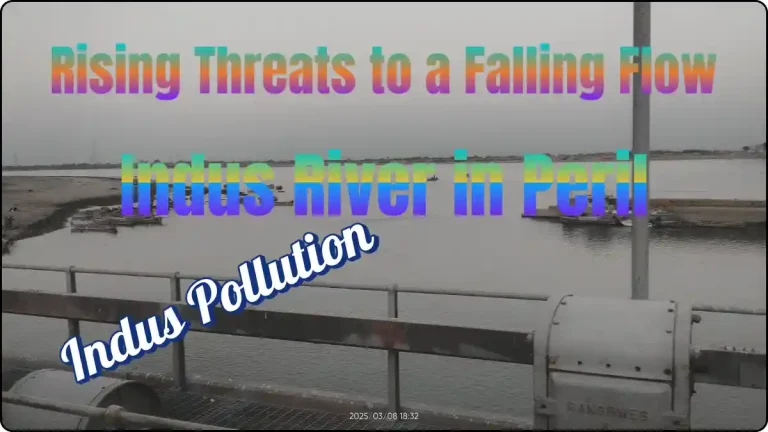 Indus river pollution